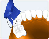 Borstenspitzen Richtung Zahnfleischrand